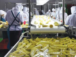 ngành công nghệ sau thu hoạch