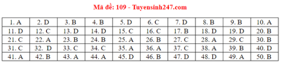 Tuyển Sinh Plus