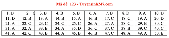 Tuyển Sinh Plus