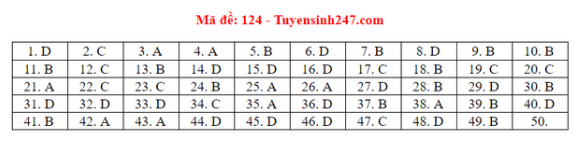 Tuyển Sinh Plus